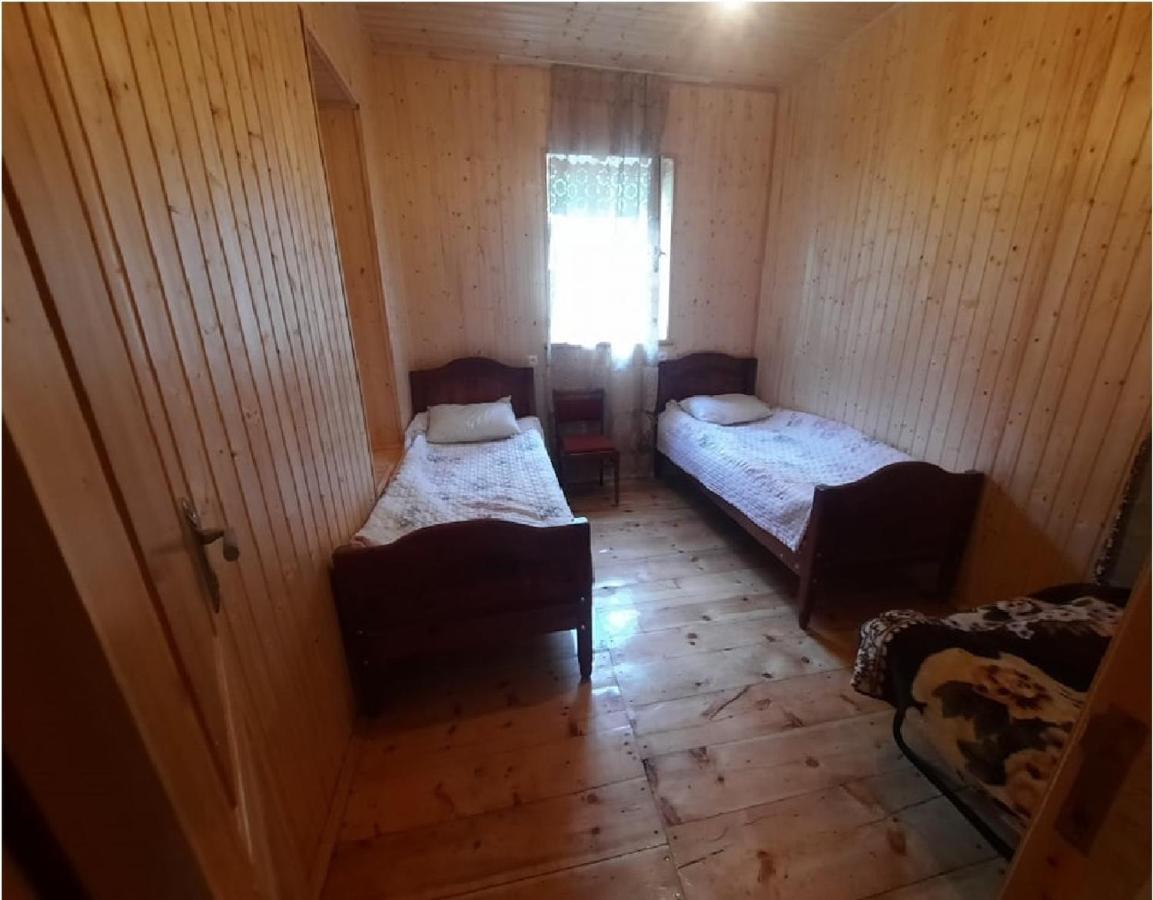 Nino&Tarzan Guesthouse Adishi Eksteriør billede